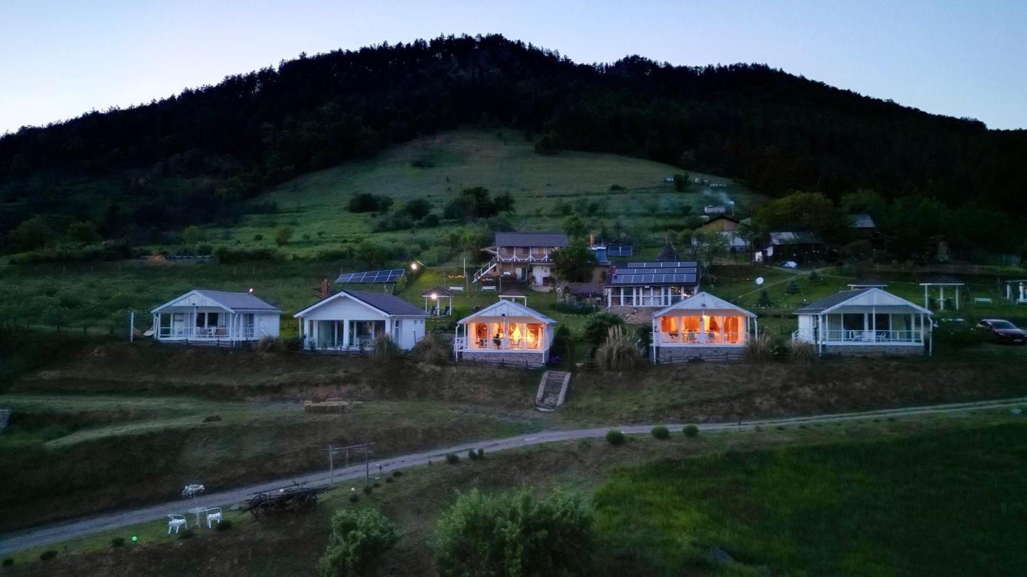 Dream Tricule Villa Svinita Екстериор снимка