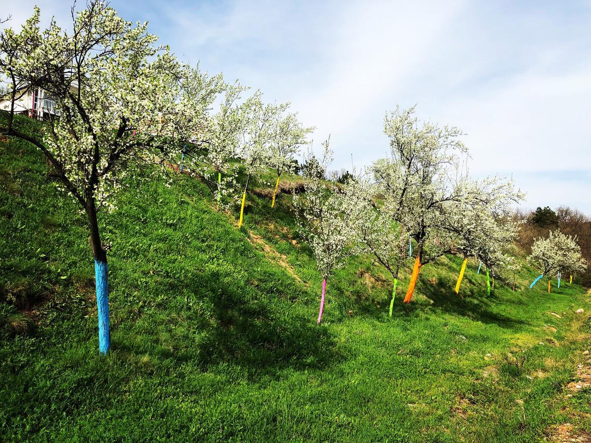 Dream Tricule Villa Svinita Екстериор снимка