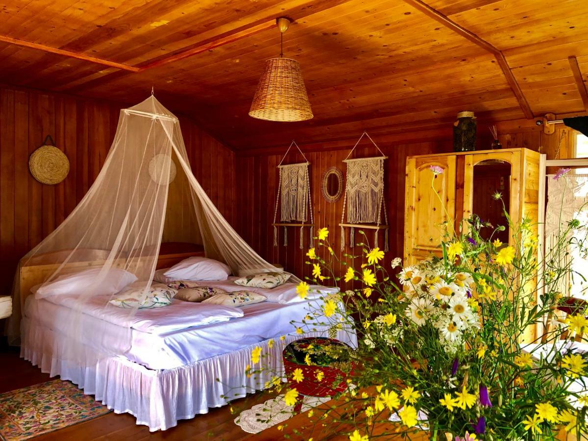Dream Tricule Villa Svinita Екстериор снимка